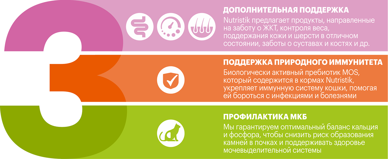 Баннер под текстом