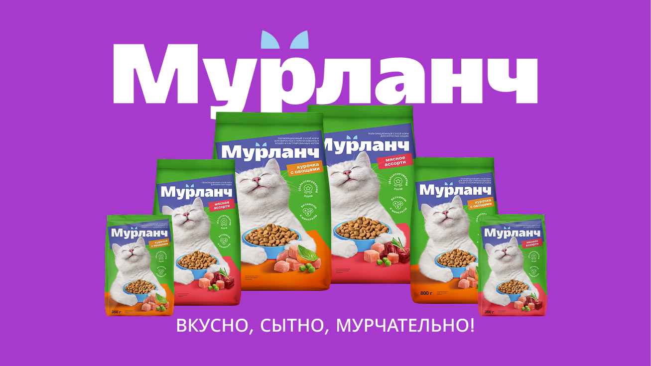 Баннер под текстом