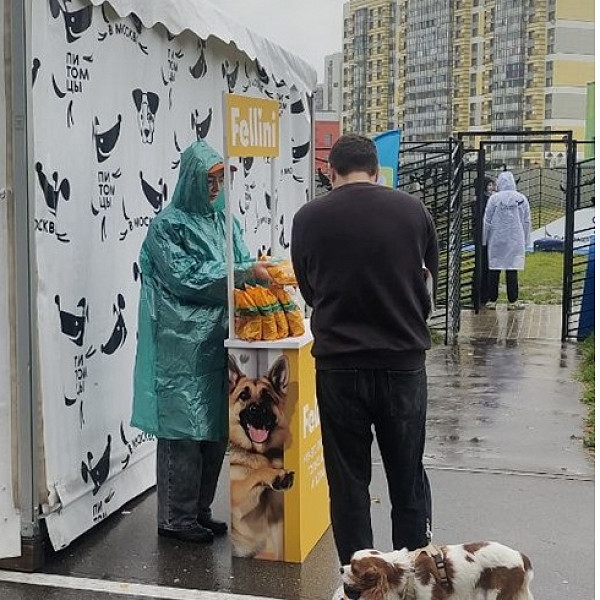 Баннер под текстом